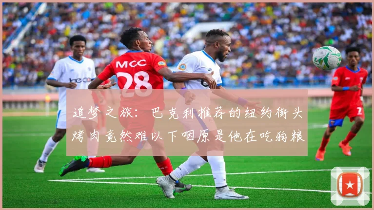 追梦之旅:巴克利推荐的纽约街头烤肉竟然难以下咽原是他在吃狗粮
