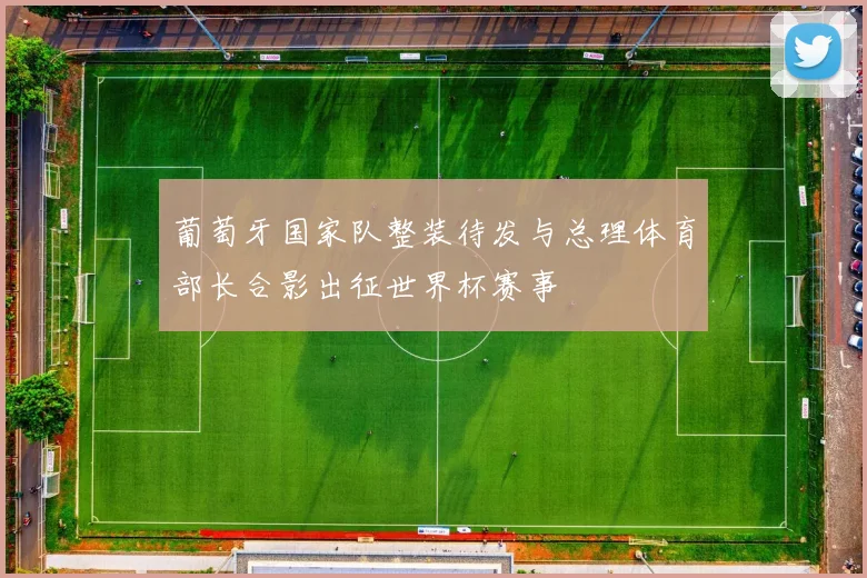 葡萄牙国家队整装待发与总理体育部长合影出征世界杯赛事