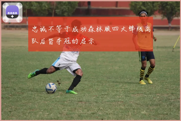 忠诚不等于成功森林狼四大锋线离队后皆夺冠的启示